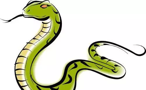 2、屬蛇人55歲有一劫難:屬蛇的人：屬相蛇，最倒霉的年齡是在什麼時候