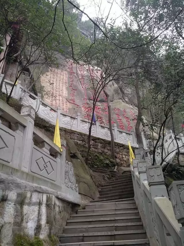 龍飛九重天打一個屬相：一封朝奏九重天猜是什麼生肖