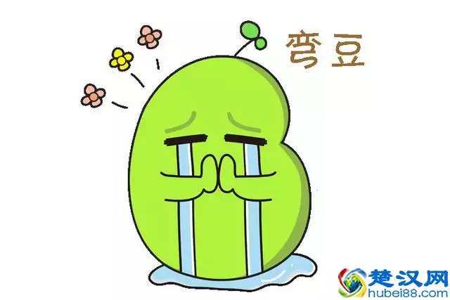 生孩子為什麼要看屬相：關於生孩子生肖相衝的問題