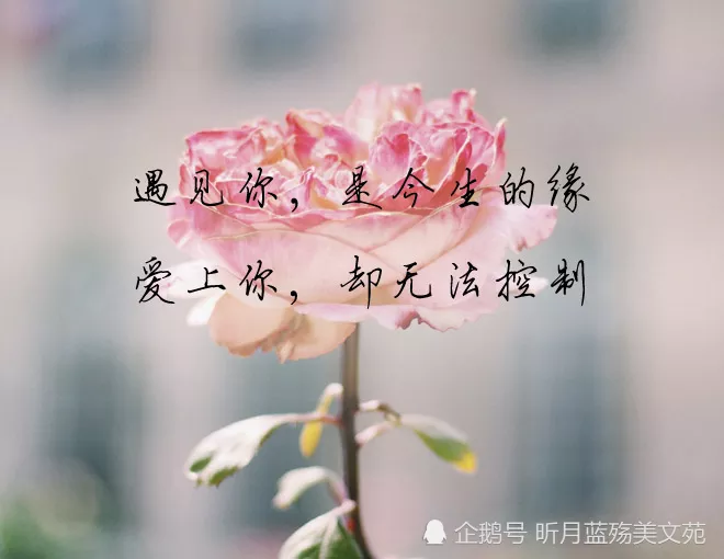 2、如何看兩個人的緣分:怎樣進入測試兩個人的緣分