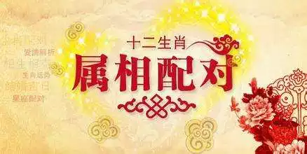 2、屬牛和屬相龍的婚配:屬大龍能和屬牛的婚配嗎