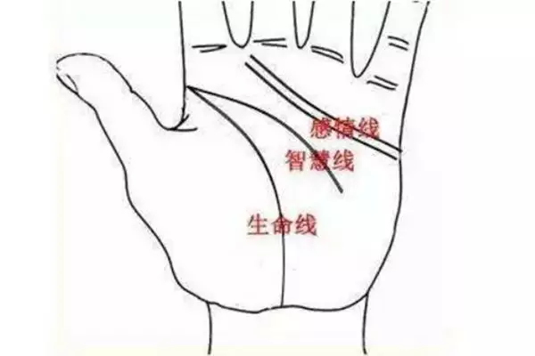 3、卜易居生辰八字:生辰八字算命馬宏龍的運勢