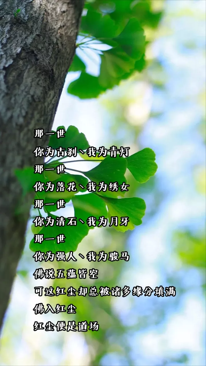 2、張宇有一首歌 歌詞里有一句是一定是特別的緣分 是什麼歌 謝謝