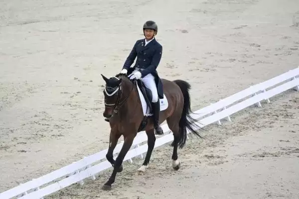 2、馬先生和猴婚配好嗎:屬馬和屬猴的婚姻好嗎