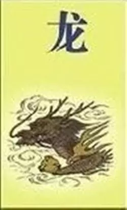 年屬什麼生肖年是什麼：年出生屬什麼生肖年屬鼠是什麼命