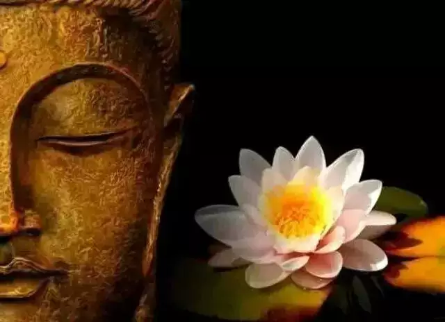 4、姻緣晚的前世:宿世的。。。宿世的姻緣啊。。。