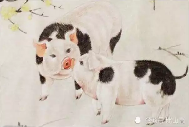1、屬豬的欠好的婚配有哪些:屬豬和什麼屬相最配？和什麼屬相不配