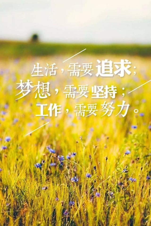 1、看看自己的命運:想看看自己的命運