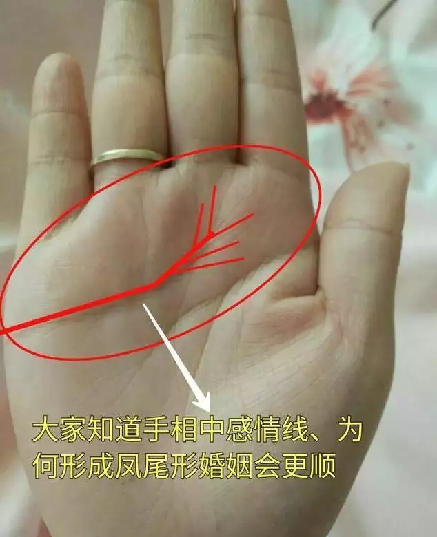 2、手相怎麼看自己的事業運:手相算一下自己的事業~~