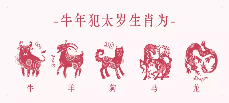5、麥玲玲年運勢測算:麥玲玲牛年運程