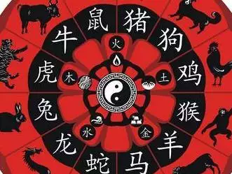 十二生肖爛賭最多的屬相：屬兔幾月份命好