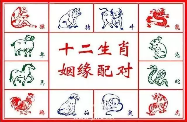 3、虎蛇婚配家裡擺放什麼屬相:屬相問題（徵集虎蛇配）