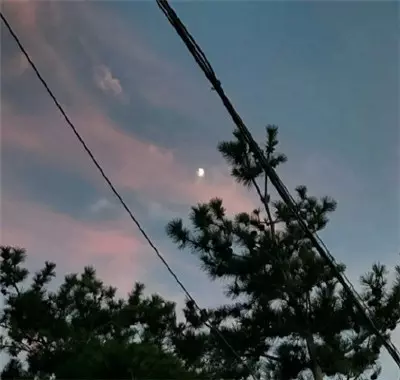 年旺財旺運的微信名：做生意的女人，用什麼微信頭像？