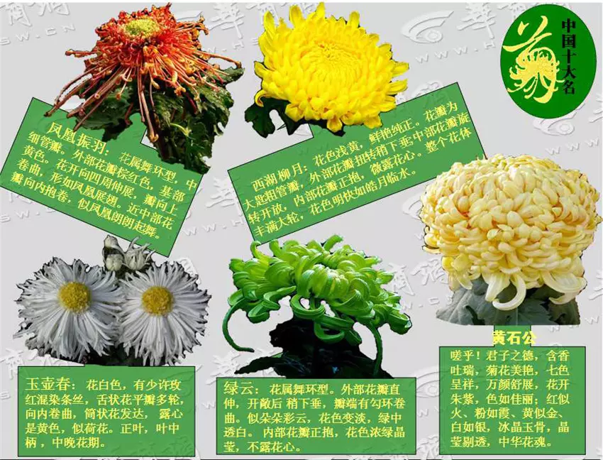 最吉祥有福氣的名字有哪些：搜一個很好聽,好霸氣,很有財氣而且很吉祥的名字