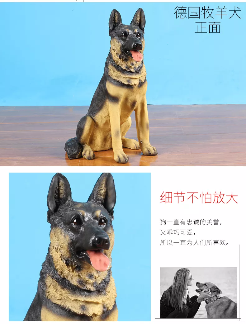 1、年招財又吉利的狗狗名字:招財又吉利的狗名字