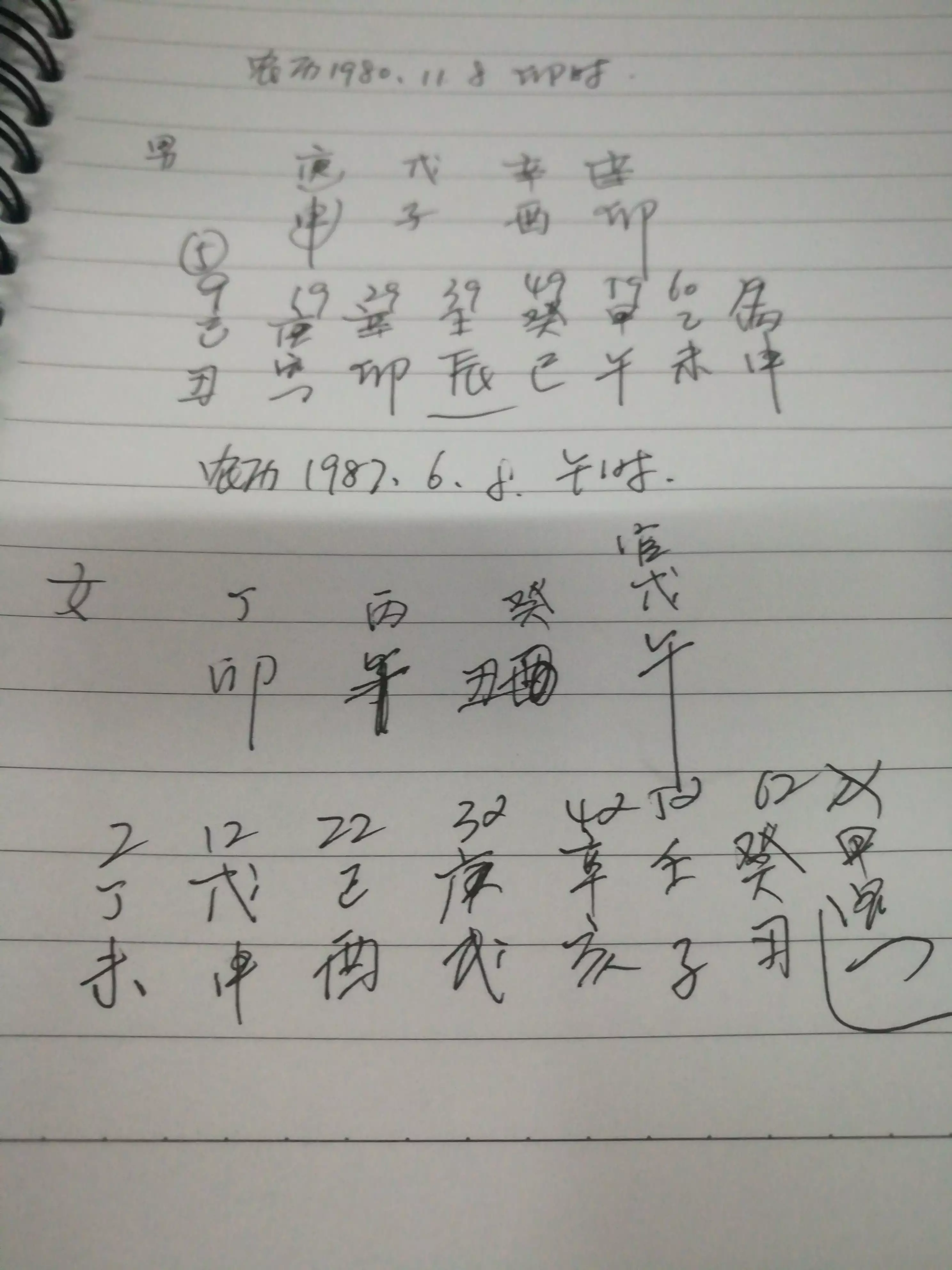 2、男82女87婚配好嗎:82屬狗和87年屬兔的婚姻好嗎