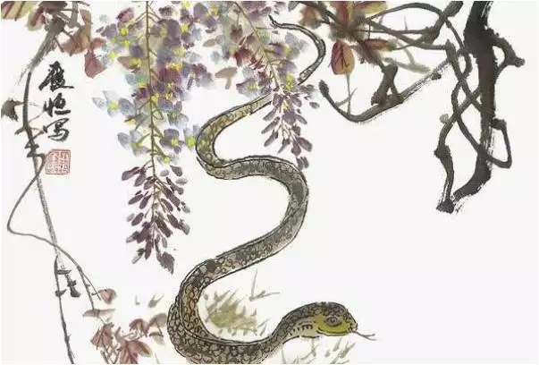 2、生肖蛇一輩子貴人是誰:屬蛇人一生命運坎坷,多災多難