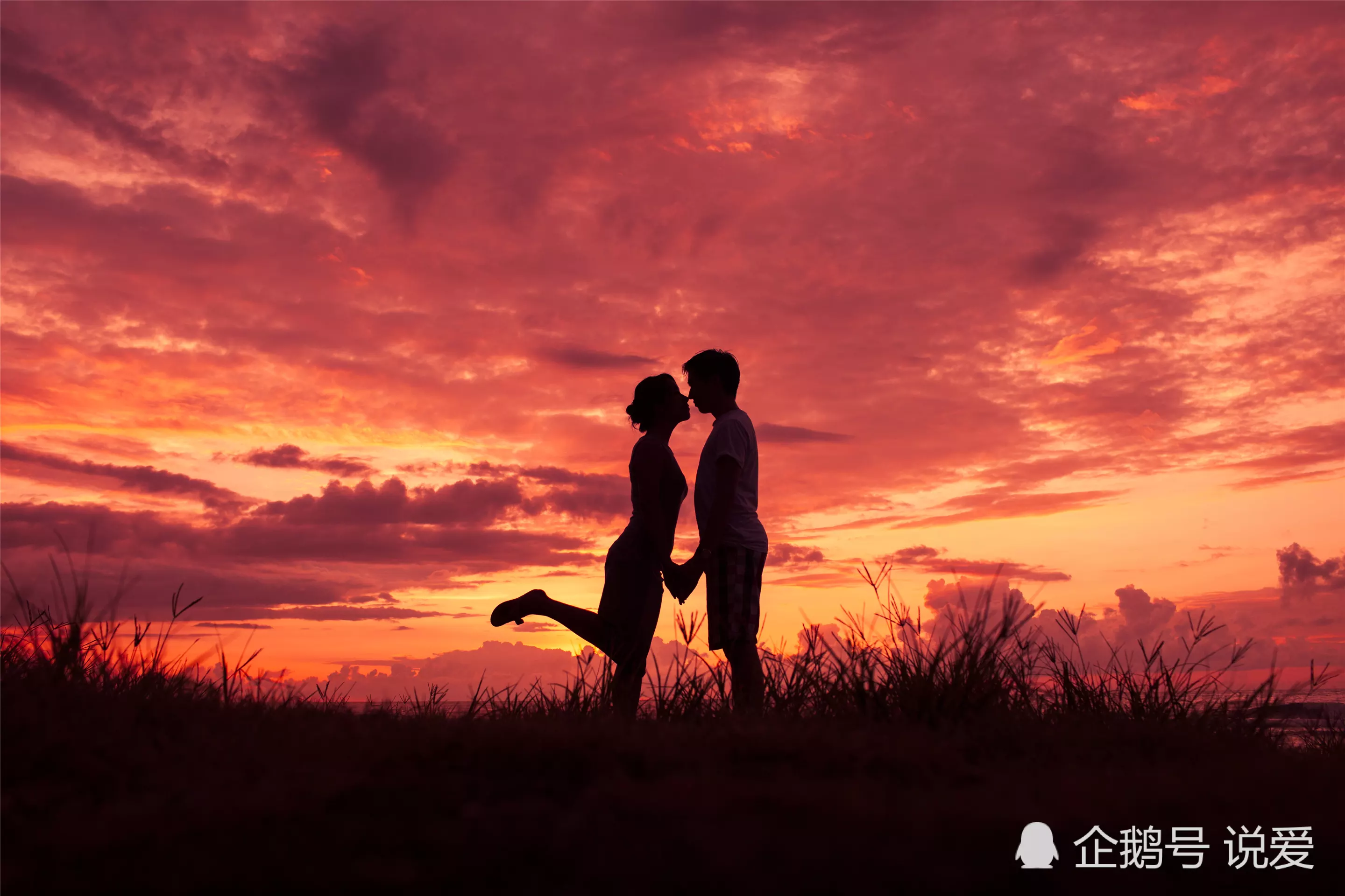 8、算愛情婚姻:愛情與婚姻的區別是 什麼？