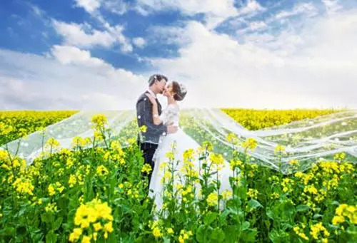 本命年不能結婚的屬相：年的屬牛命運