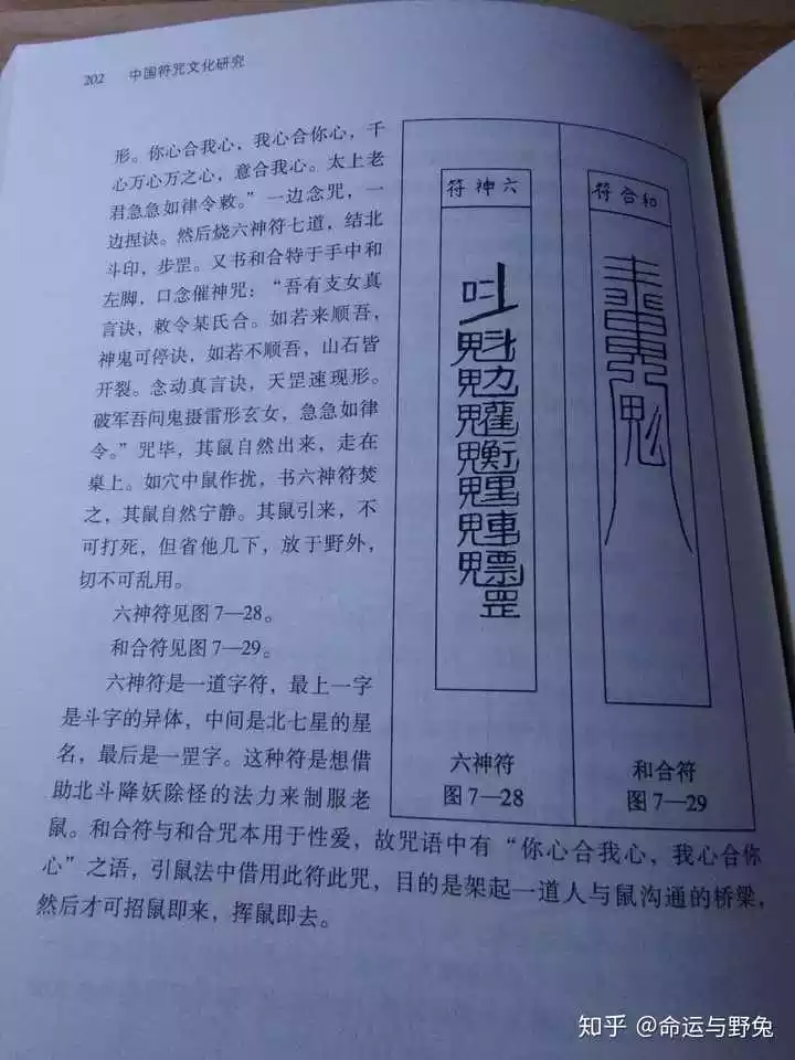 2、天天詛一個人真的有用:有人用詛一個人死，真的會嗎？