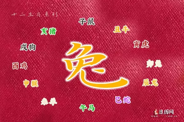 年的今年多大歲數了：年屬什麼今年多大