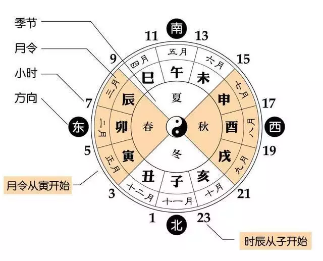 3、八字怎麼看:怎麼看五行，和八字？