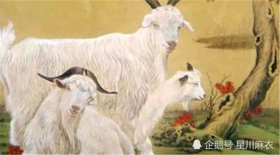 3、屬羊跟馬娶親配嗎:79年的屬羊男生和90年的屬馬女生配吧？