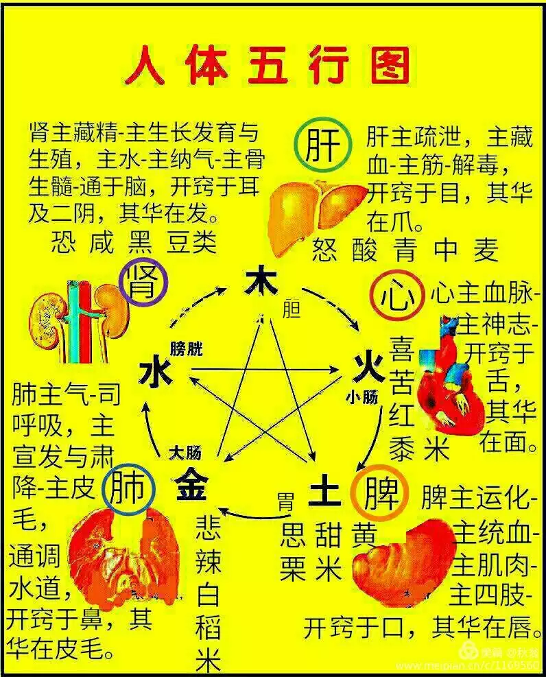 屬相屬性為木名字中屬性帶金和火：五行中屬性木和屬性金字組成名字有何防礙