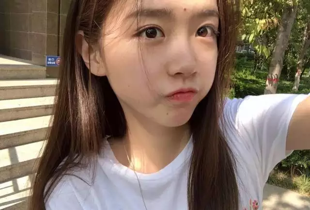 年屬什麼星座：年是什麼星座