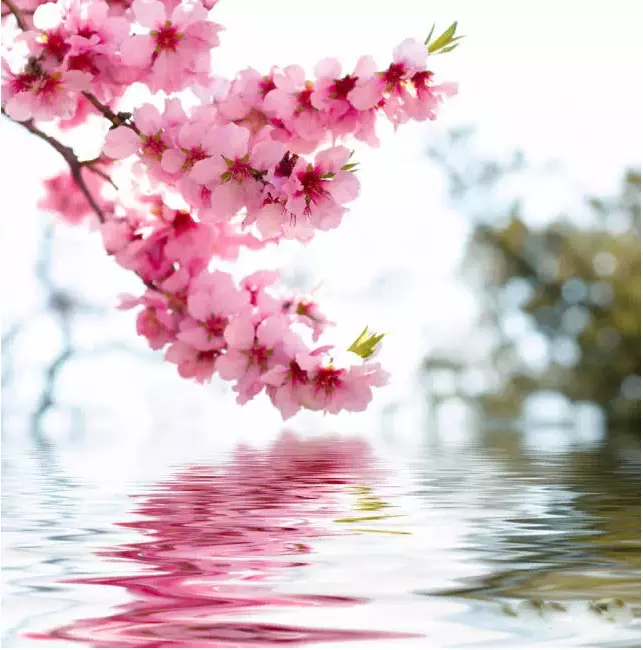 1、免費算我有幾次婚姻我的桃花運:怎麼算我的桃花運？