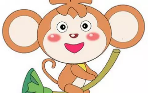 屬兔男適合找什麼屬相的工具：屬兔男孩找工具什麼屬相好