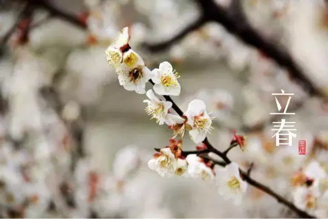 今晚立春什麼屬相不能出門：立春在路上好欠好？