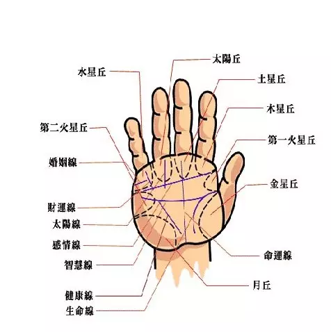 如何看姻緣什麼時候出現：算命看姻緣哪一年出現？