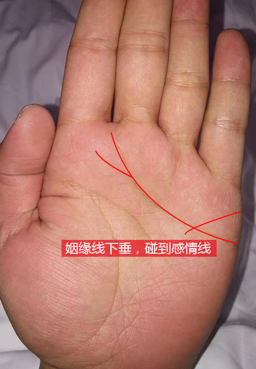 2、做為女生 我感受自己有點紛歧樣 很自我 注重自我感受 不剖析別人的評價 。不象其餘女生找工具什麼的？