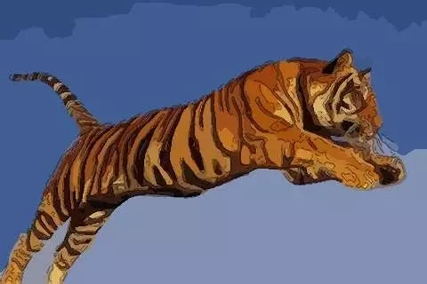 年對屬虎的人有什麼影響：屬虎人全年運勢