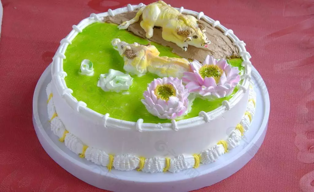 屬相生日圖片：年出生生肖屬什麼