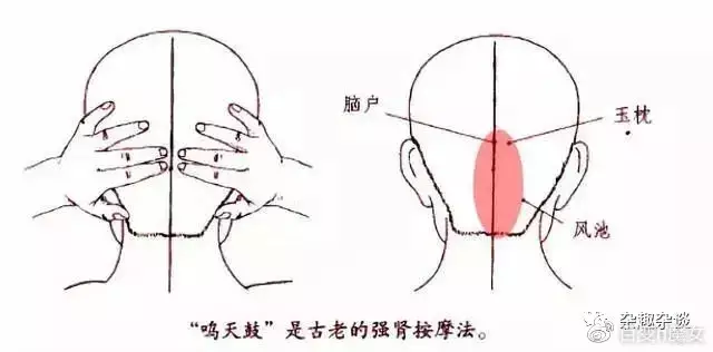 家裡擺放什麼物品可以提升風水，增加陽氣。