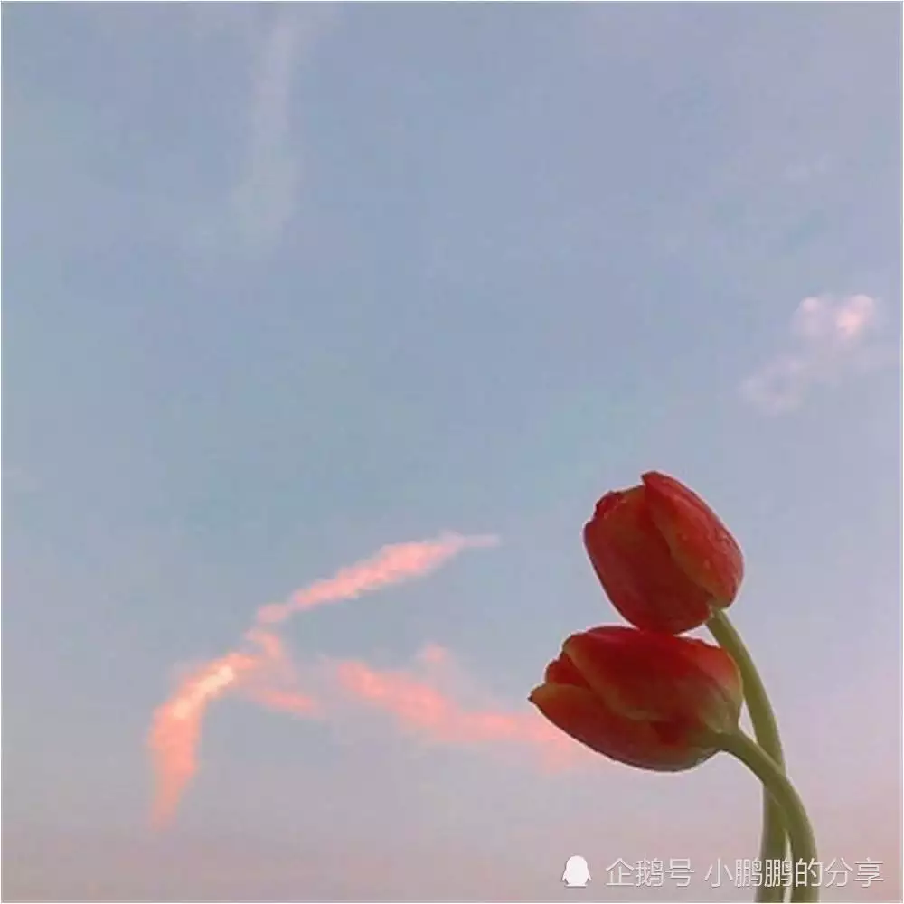 2、三月份的屬豬人的婚配:屬豬的屬相婚配表，屬豬和什麼屬相最配