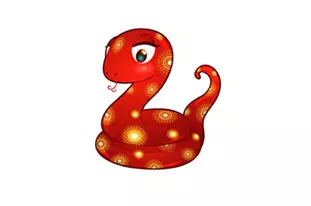 屬蛇的人與什麼屬相的人共事好：年屬蛇人和什麼屬相的人合作會好