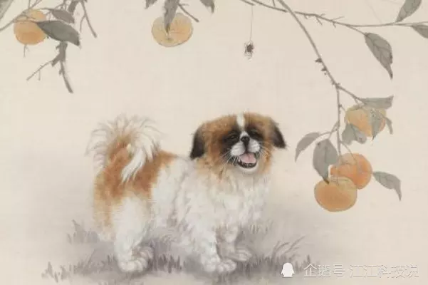 2、屬相狗婚配:年和什麼屬相最配