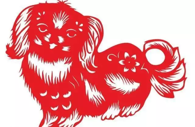 麥玲玲屬狗年屬相運程：年十二生肖運程