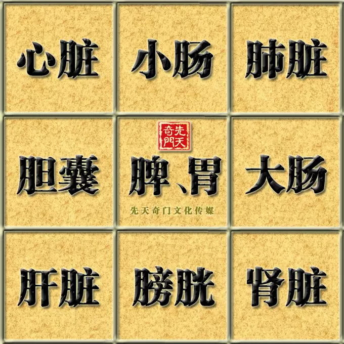 6、免費算命學業運:請高人幫忙算下命理運程趨勢，學業事業，謝謝！