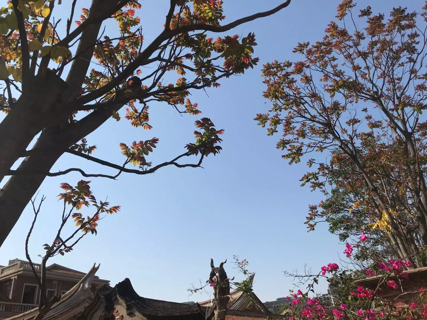 8、測算自己的正緣:為什麼不同的算命的算出來正緣的時間都不一樣？