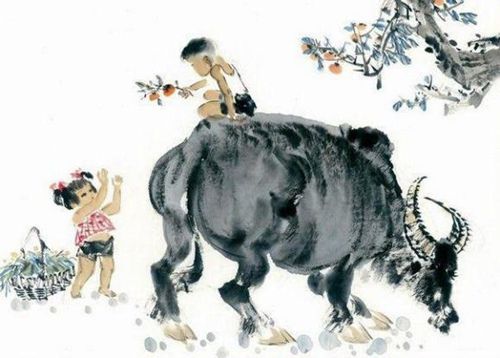 生肖牛女和生肖虎男婚配合適嗎：屬牛女和屬虎男相剋嗎？