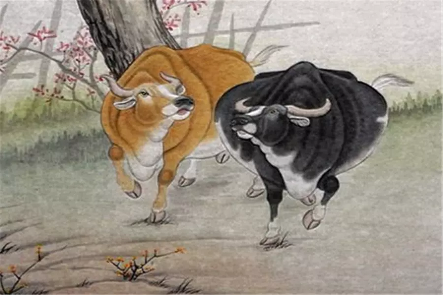 姓竇屬相是牛女孩名字：屬牛女孩的名字