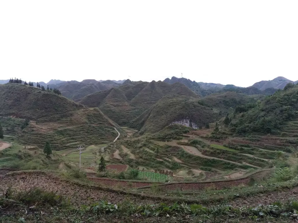 您好，我是年屬雞，四年前往世，今晚我們要遷墳到寅山申山向，叨教寅山申向照樣艮山坤向好？