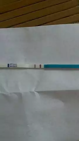 孤雁離群只因折翼是什麼屬相：孤雁離群,只因折翼.沒法埋堆難媼食什麼生肖