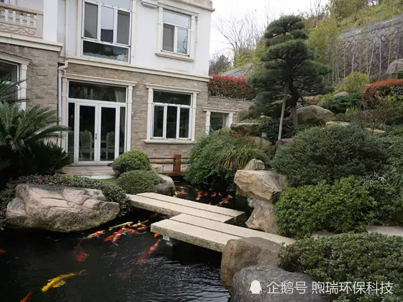 1、別墅庭院魚池:庭院魚池水深多少為好