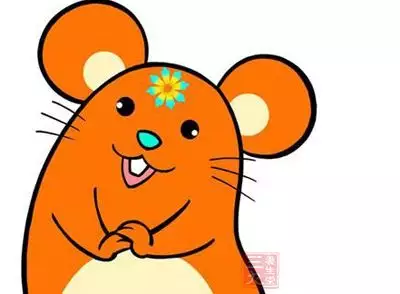 屬鼠的爸爸和虎媽媽生什麼屬相好：爸爸是屬鼠，媽媽屬虎，生個什麼屬相寶寶的合適