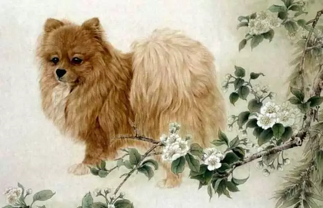 1、年屬狗39歲的桃花劫:年屬狗的桃花劫是誰？